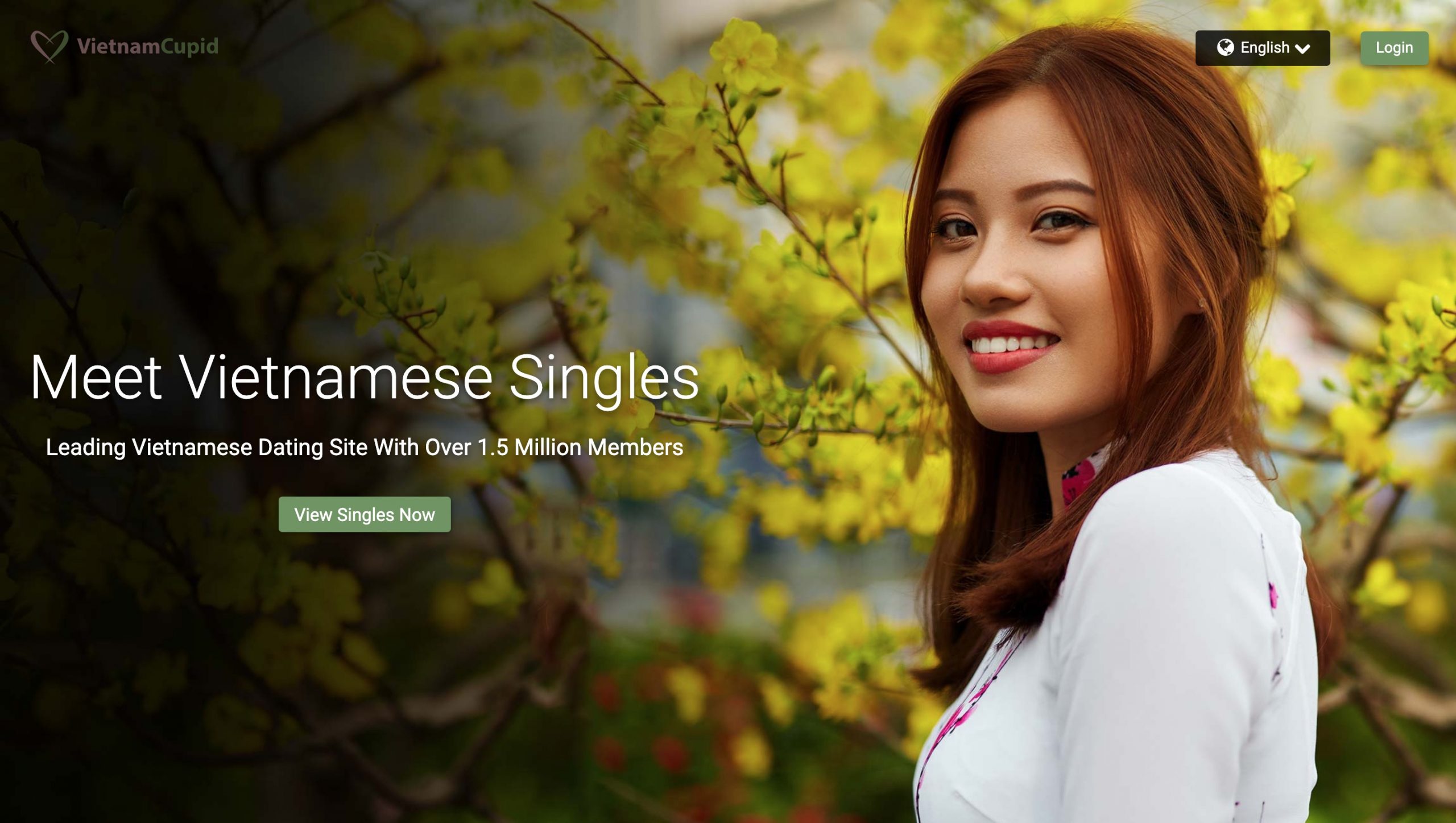 Finding Vietnamese Women For Marriage A Full Guide